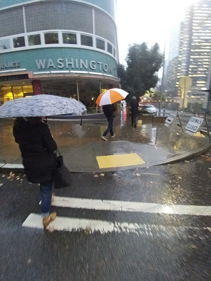Slog PM: Rain All Day Tomorrow, Greta Thunberg Arrested, the Age of Gun Totin' Toddler
